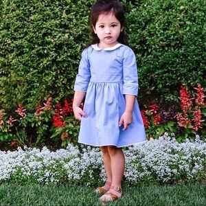 NWOT Blue Cotton Peter Pan Collar Dress